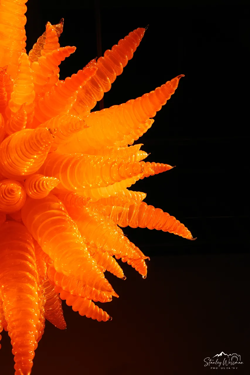 Chihuly Sun