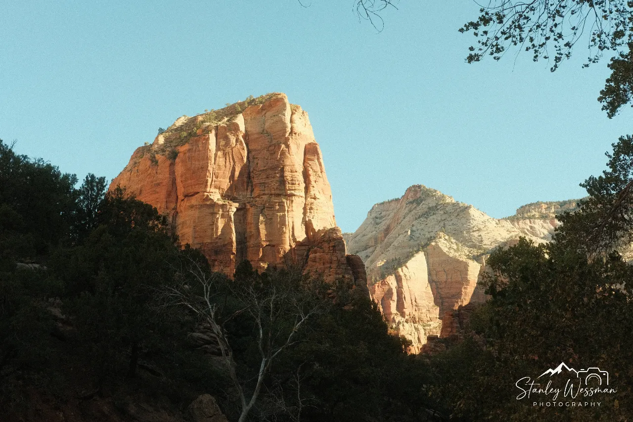 Zion Giant