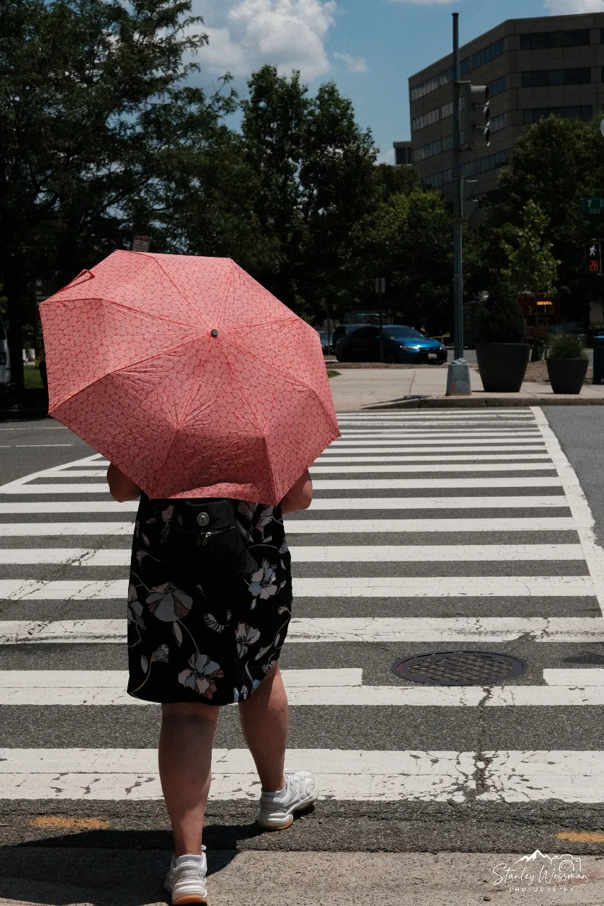 Pink Umbrella