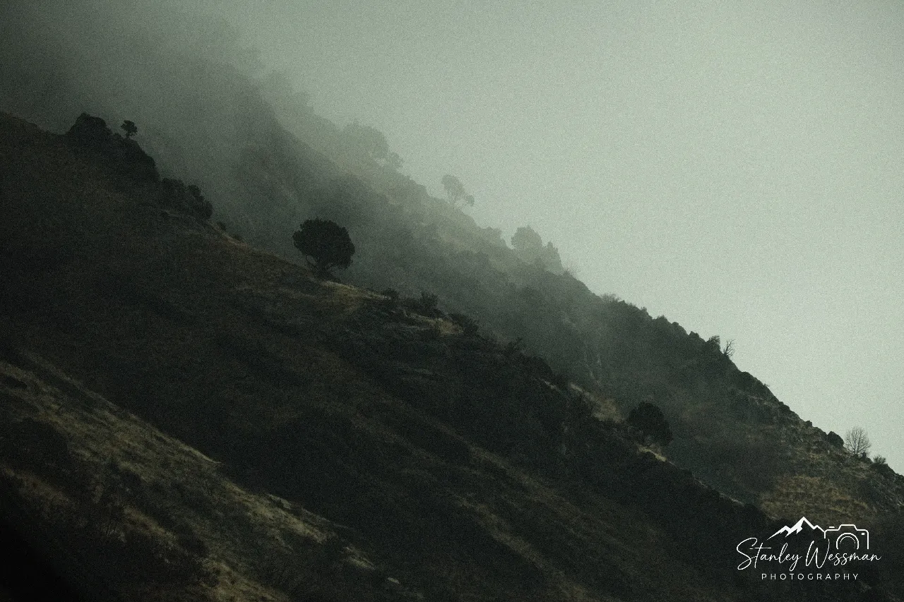 Foggy Mountainside