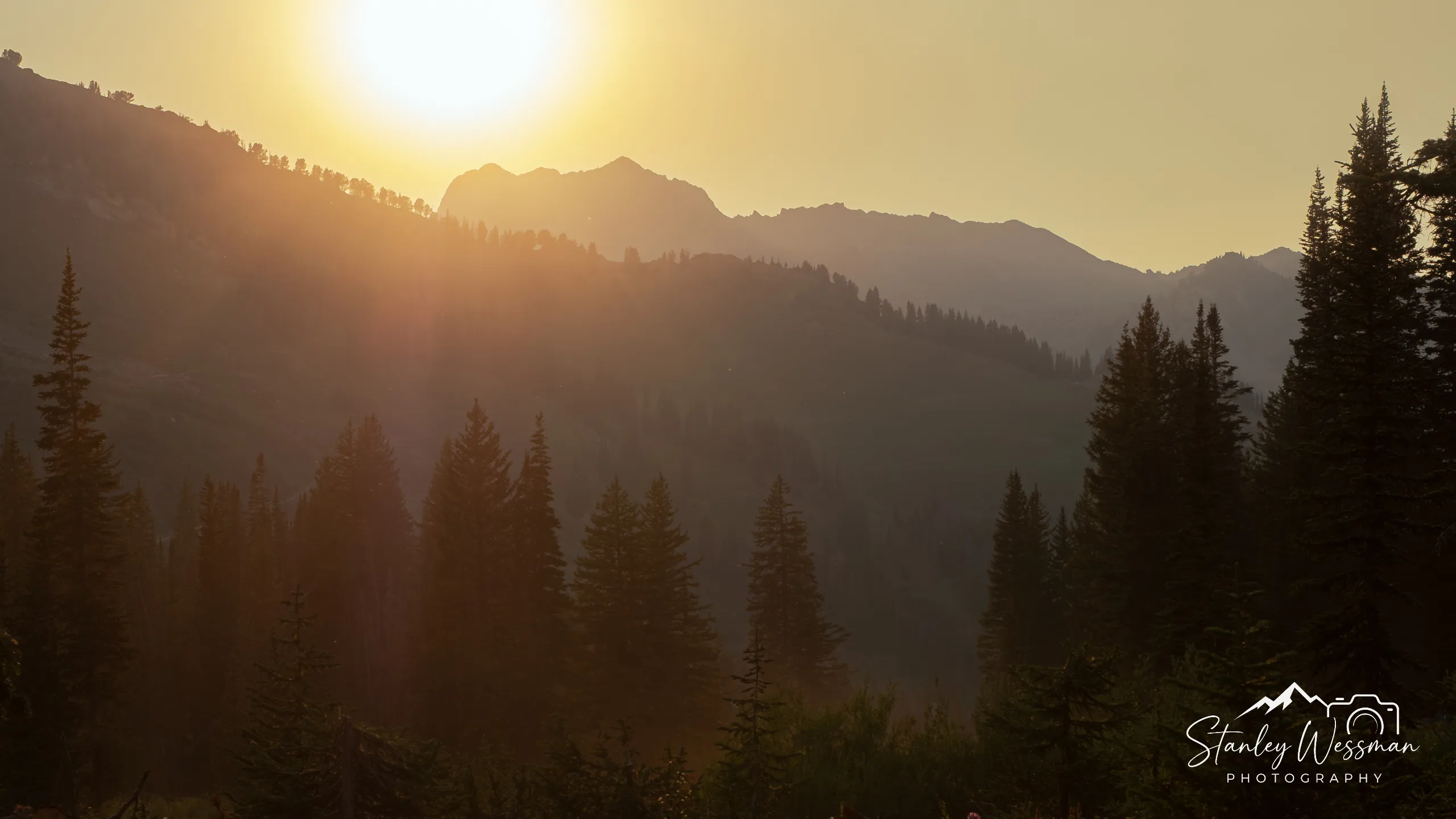 Wasatch Sun